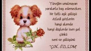 Sezen Aksu Ahtim Olsun