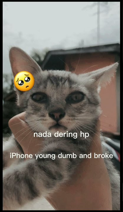 Nada dering hp iPhone young dumb and broke ❤️