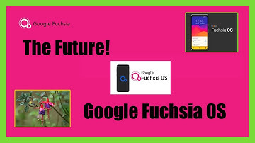 Fuchsia OS.  GOOGLE FUCHSIA.  Fuchsia The New Languages OS from Google