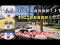 [GTA5:ゆっくり実況]　 警官になった霊夢の気まぐれ業務日誌 part5
