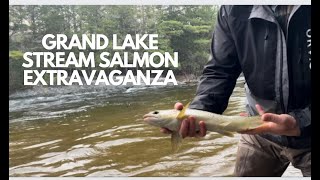 Downeast Maine Salmon and Bass Fly fishing