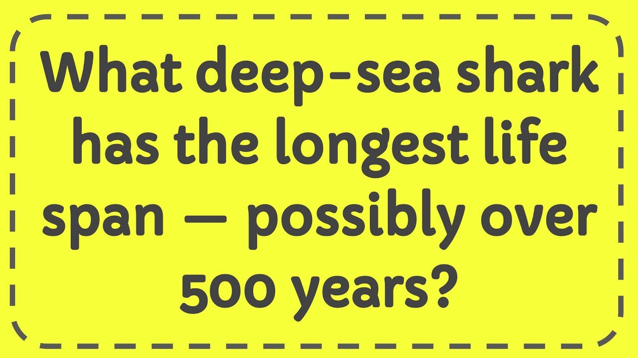 what-deep-sea-shark-has-the-longest-life-span-possibly-over-500-years