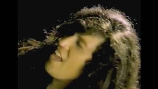 Remember these HEADBANGERS BALL FORGOTTEN VIDEOS VOL 5