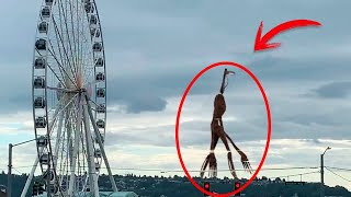 6 Real Light Heads Caught on Camera