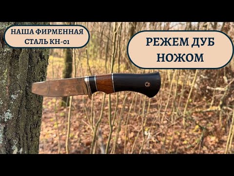 Видео: Наша лучшая ножевая сталь КН-01. Проверяем агрессивность реза на ДУБЕ.