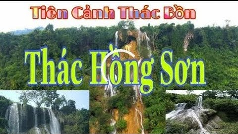 Mưa dầm đi bắt cá rô, cá lóc lên bờ | Catch perch, snakehead fish on the field