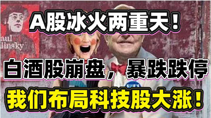 A股冰火兩重天！白酒股慘烈崩盤暴跌跌停！但我們重倉布局的科技資源股集體暴漲！散戶應該怎麼選擇板塊？（2021/10/18股市預測）【中文字幕】 - 天天要聞