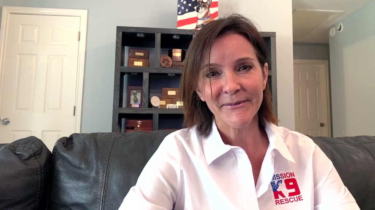 Meet Our Partners:  Mission K9 Rescue | SPCA International | Global Animal Rescue