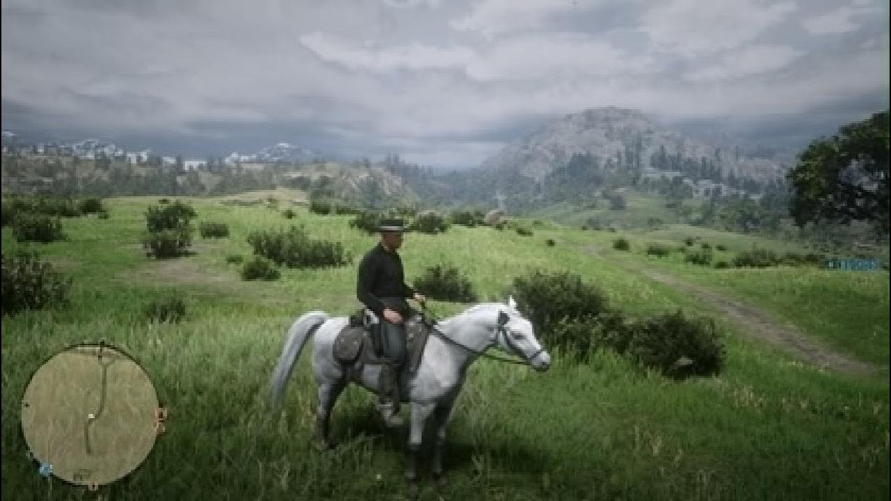 The legendary fastest gun alive AKA, Cattleman fish.