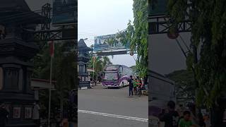 SJM Trans Ratu Maher #sjmtrans #bis #bus #bismaniacommunity #telolet #video