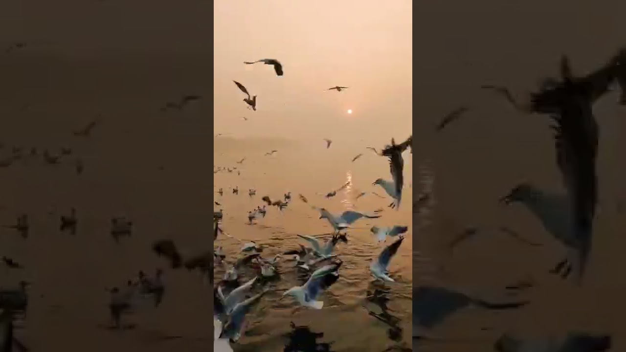 This Is Delhi ♥️|backbenchertraveller|