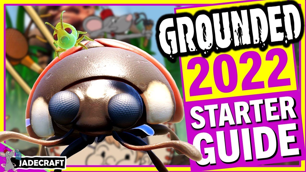GROUNDED STARTER GUIDE 2022! Top Tips For Returning or New Players  Surviving The Early Days! - YouTube