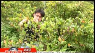 1040501【港都新聞】TKTV高雄都會台