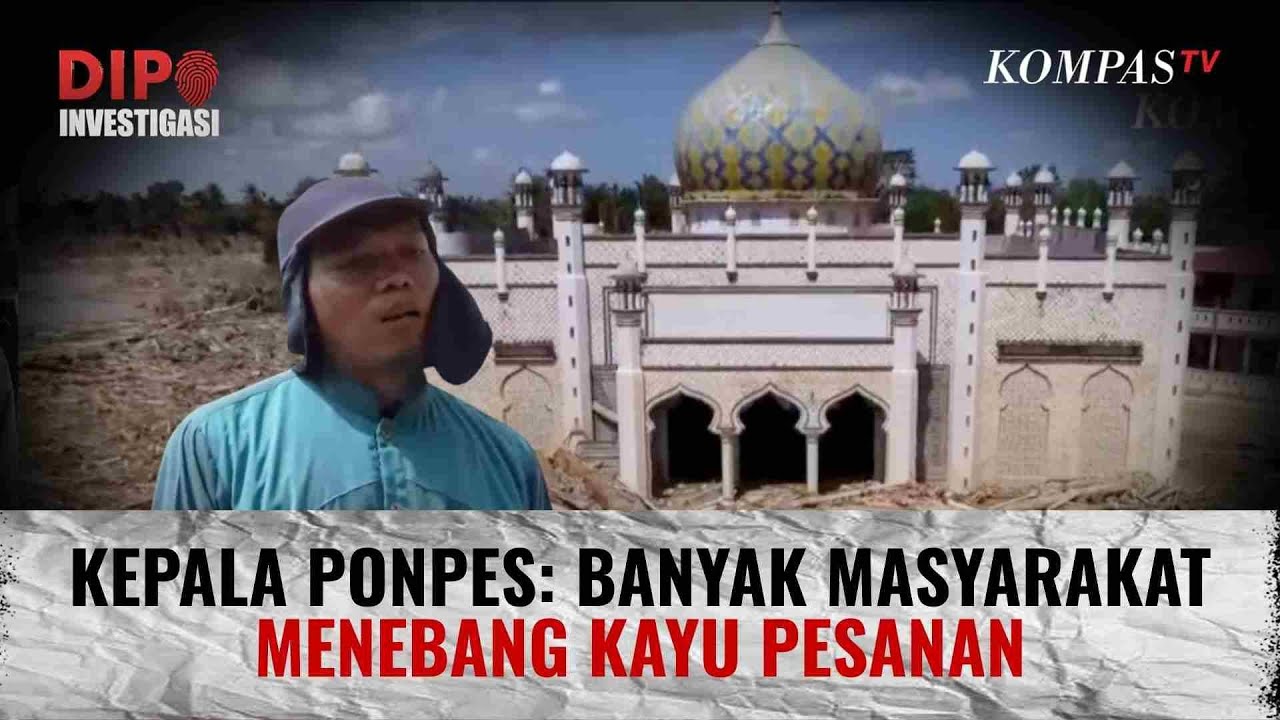 Gelondongan Kayu Kepung Pondok Pesantren, Siapa Pelaku Penebang Pohon? | DIPO INVESTIGASI