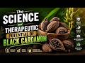 The Science and Therapeutic Potential of Black Cardamom
