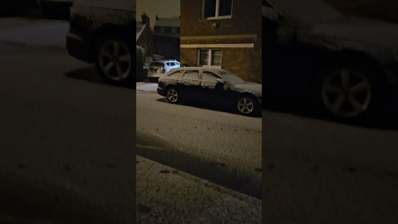 Для моей кошки нет плохой погоды 