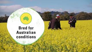 Nuseed Australia - TruFlex canola