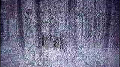 Fatal Frame I Part 19