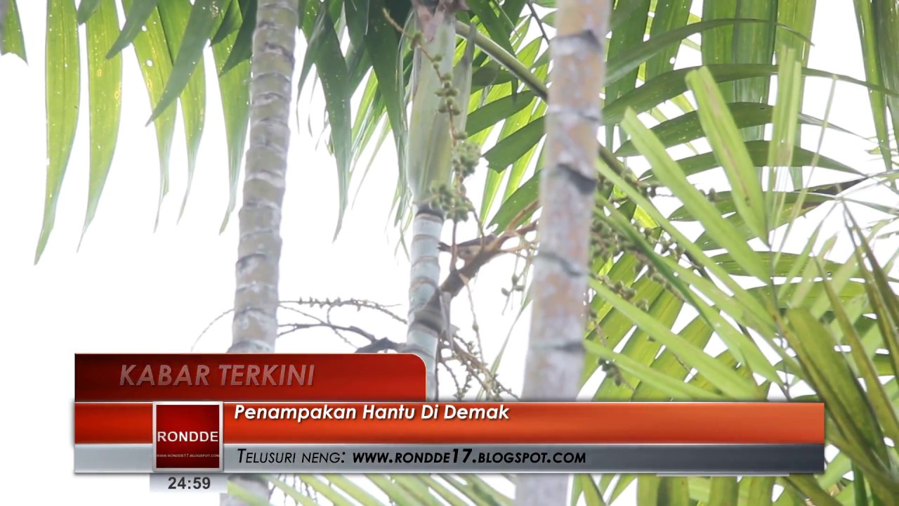 720+ Foto Penampakan Di Demak Gratis