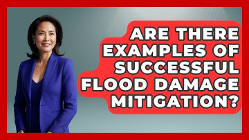 Are There Examples Of Successful Flood Damage Mitigation? - Weather Watchdog