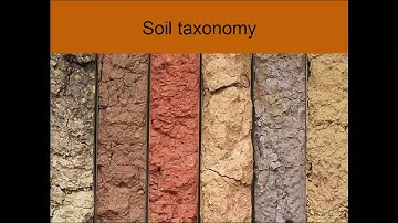 Soil Taxonomy Explained