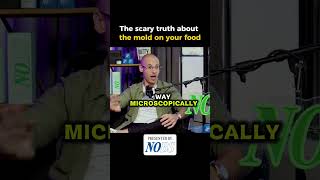 @DTHshow  on YouTube | The scary truth about the mold on your food... 😳 #shorts #science