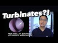 Inferior Turbinates:  what are they, why do they swell, stuffy nose, congestion, how do we treat