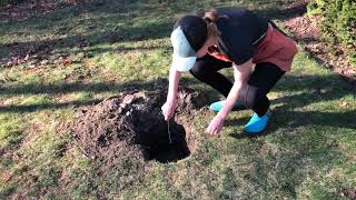 How to Assess Your Soil Drainage: A Guide to Completing An Infiltration Test