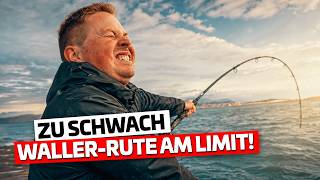 Waller-Rute zu schwach?! Damit hätte ich NIE gerechnet...