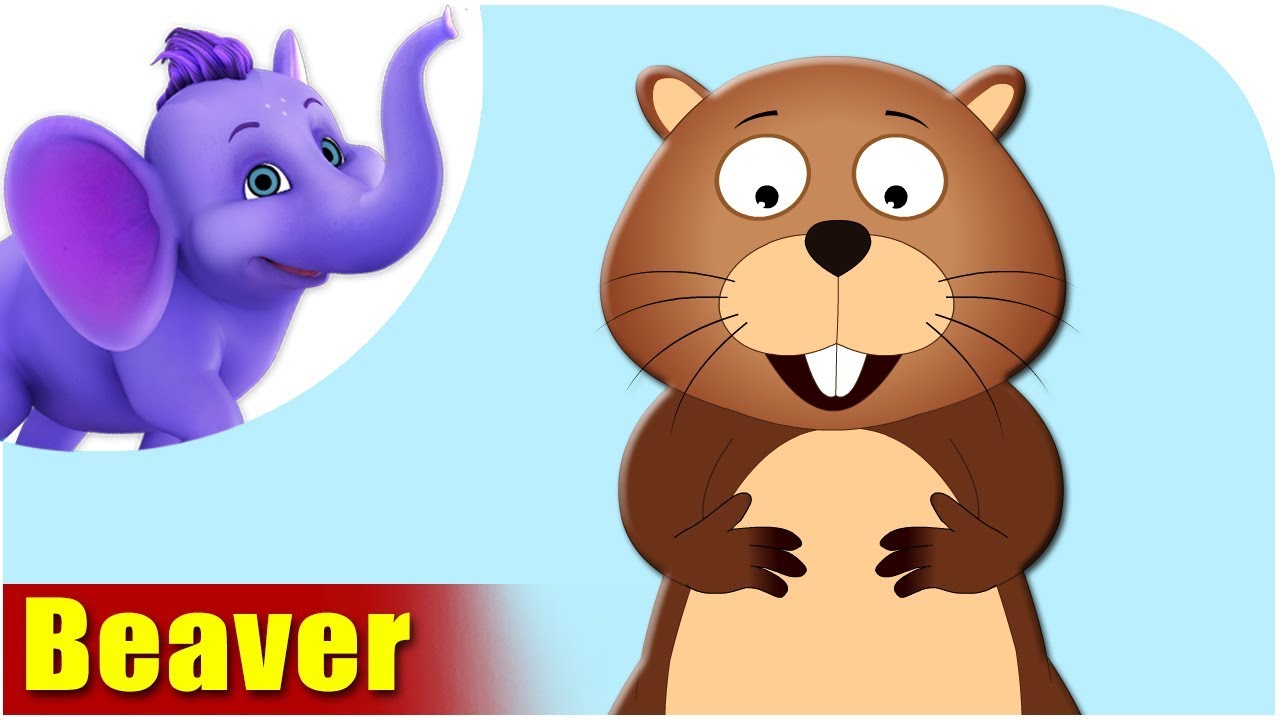Beaver - Animal Rhymes in Ultra HD (4K) - YouTube