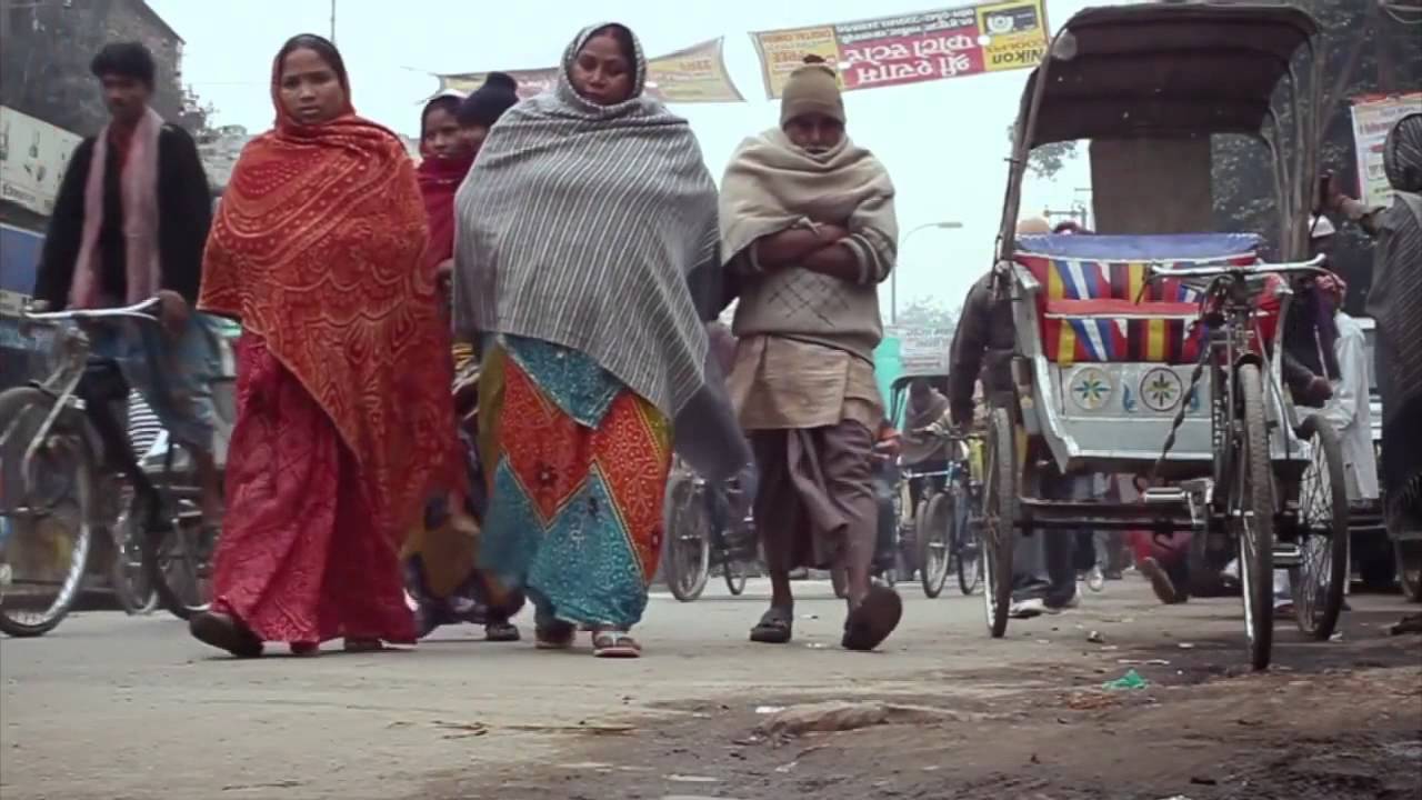 Papertree - Shapeshifter