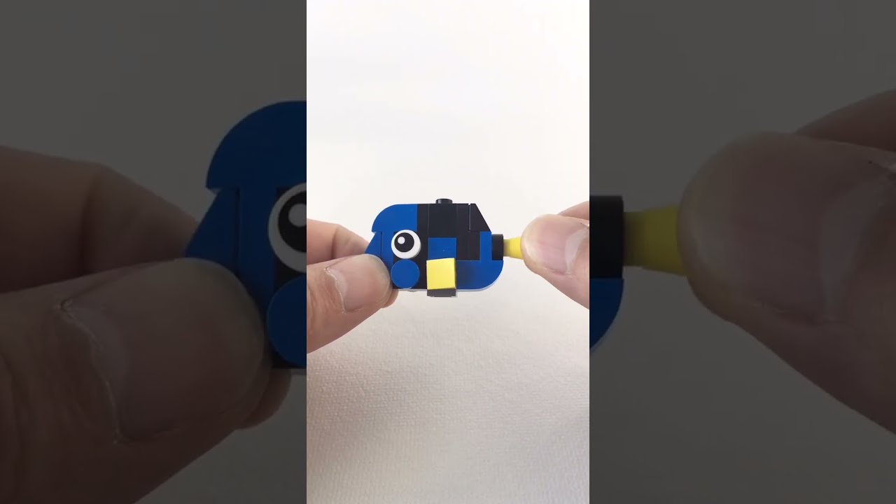 Building Dory Time Lapse 