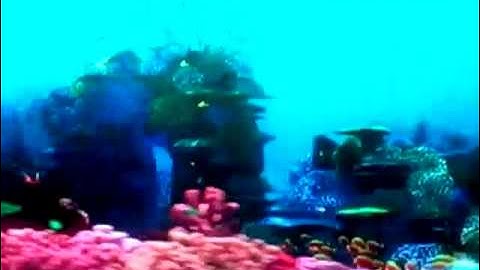 Pt.1-B Finding Nemo.mp4