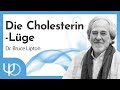 Die Cholesterin-Lüge 💡 🤯 | Bruce Lipton (deutsch)