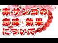 赤サンゴの意味・効果について【音声解説】赤珊瑚 ３月誕生石 レッドコーラル Red Coral パワー 特徴の解説 母なる海に優しく抱かれるような安心感 金運、幸運、災難厄除！恋愛運♪安産・産後の回復