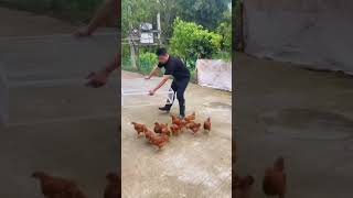 #cockroachjantaparty