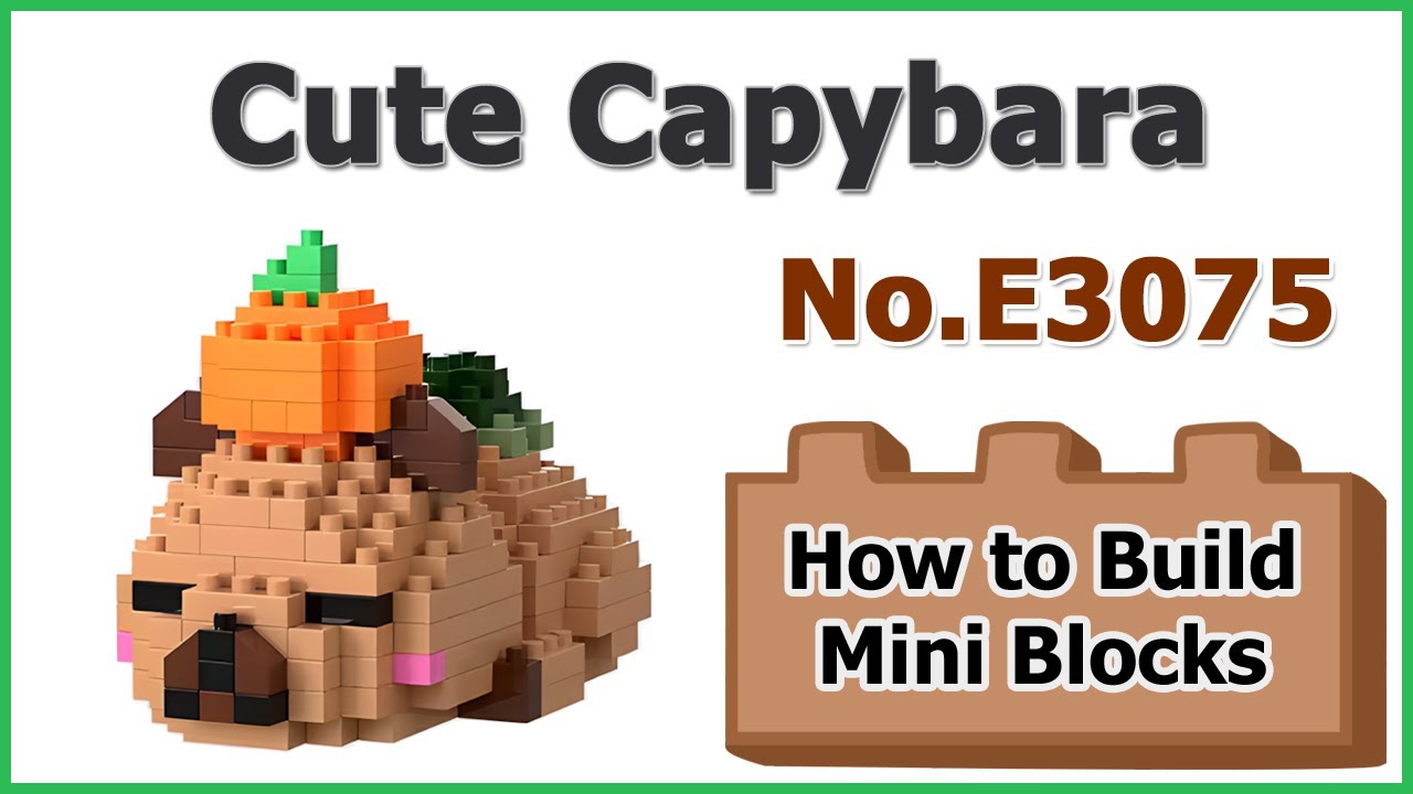 How to Build Mini Blocks Capybara E3075 Review Instructions Specifications