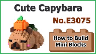 Celebrity How to Build Mini Blocks Capybara E3075 Review Instructions Specifications Net Worth