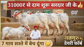 💫45000₹ में खरीदो तीन गाय बछड़ी वाली😀मात्र 15000₹ से दाम शूरू 👍8 गाय बिकाऊ साहीवाल राठी थारपारकर✨