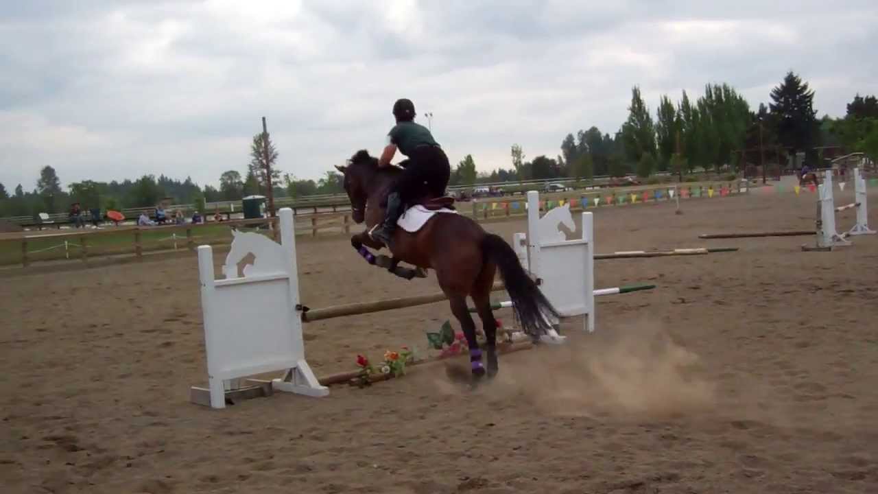C3 Switch Horse Jumping
