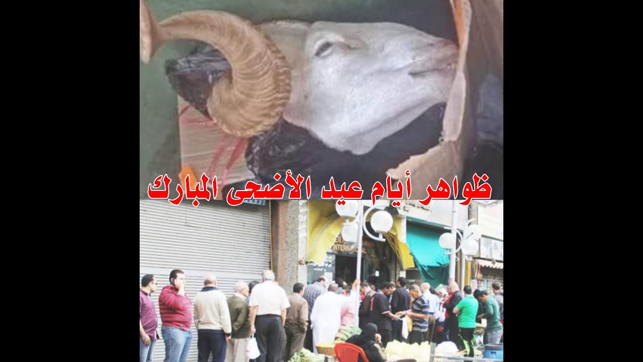 ما يحدث في أيام عيد الأضحى المبارك