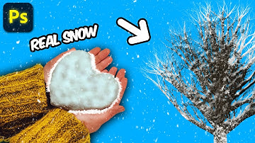 How to Turn a Tree Into a Winter Wonderland!