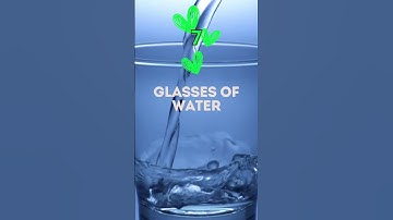 5 Genius Wellness Hacks to Revolutionize Your Routine