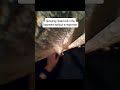 enjoy the ride