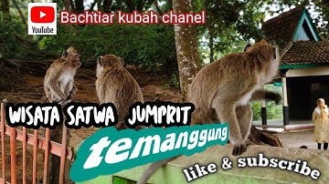 wisata satwa jumprit temanggung. #monyet #wisata #temanggung