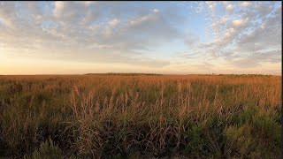 2022 Cast Netting for Shrimp and Crabbing in the Marshes of South Louisiana (Part 1 of 2)