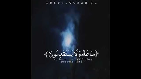 آيات قصيرة من القرآن الكريم 💗#قرآن