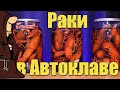 Как приготовить вкуснейших раков на плите и в Автоклаве, два рецепта