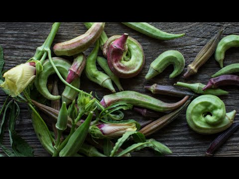 Video: Okra рецепттери