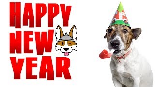 New Years Update and Our Look Back at 2017